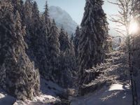 dolina Strążyska, najpiękniejsza z dolin reglowych